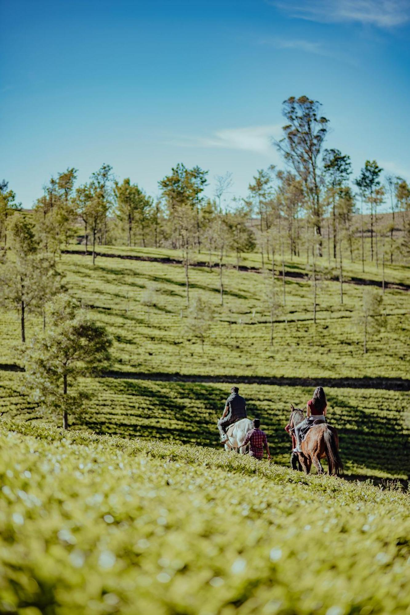 Green Nest Resort Ooty Котагири Екстериор снимка