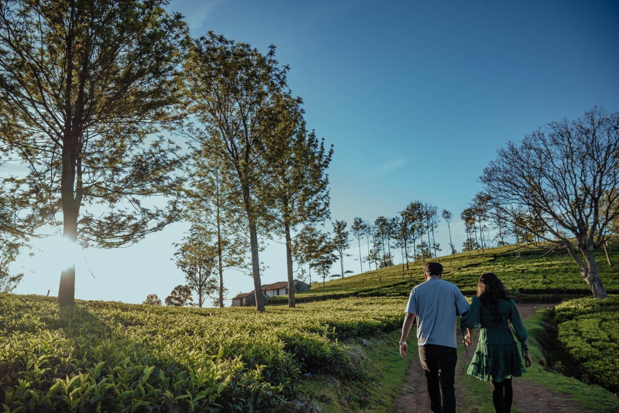 Green Nest Resort Ooty Котагири Екстериор снимка