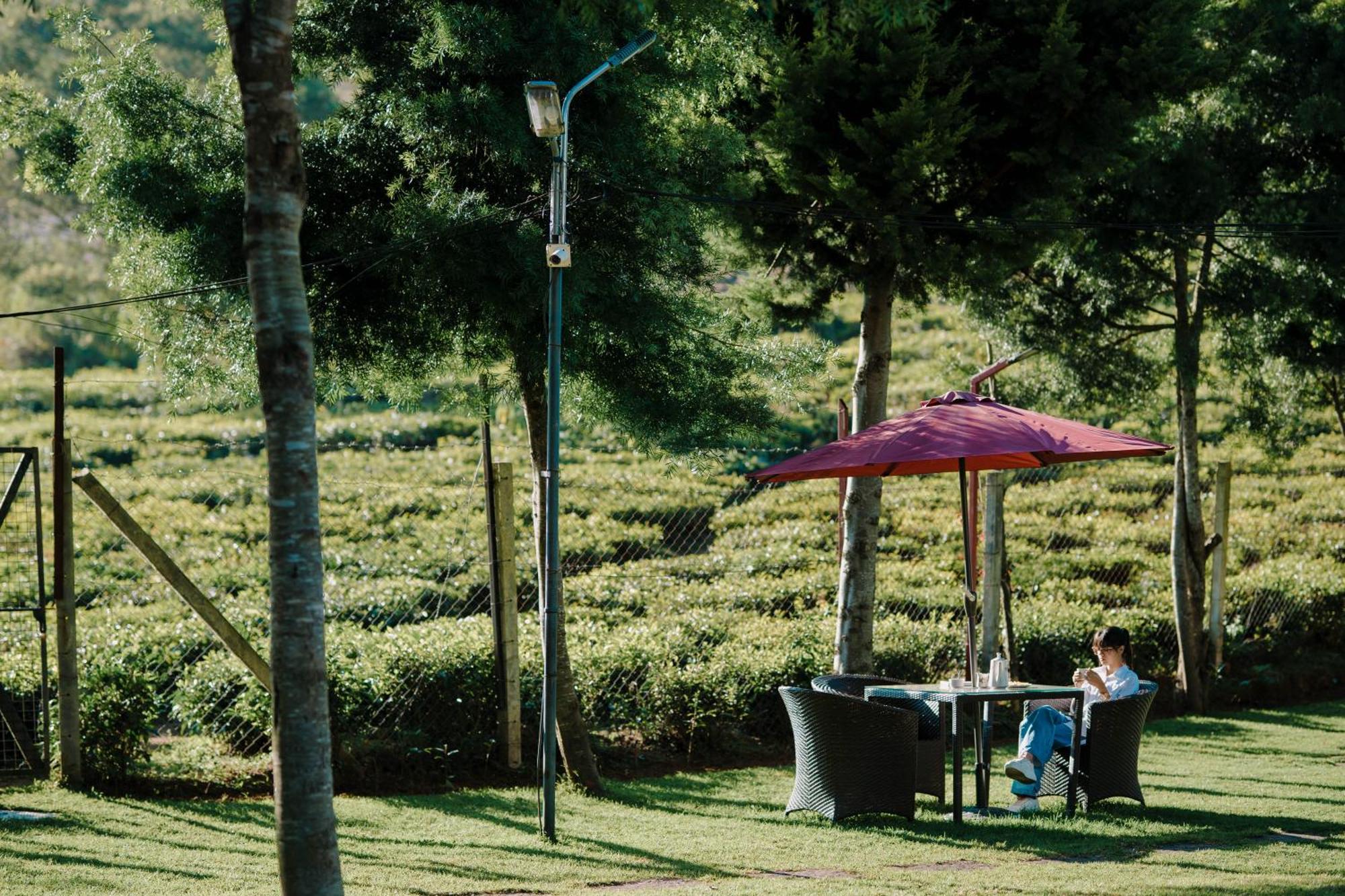 Green Nest Resort Ooty Котагири Екстериор снимка