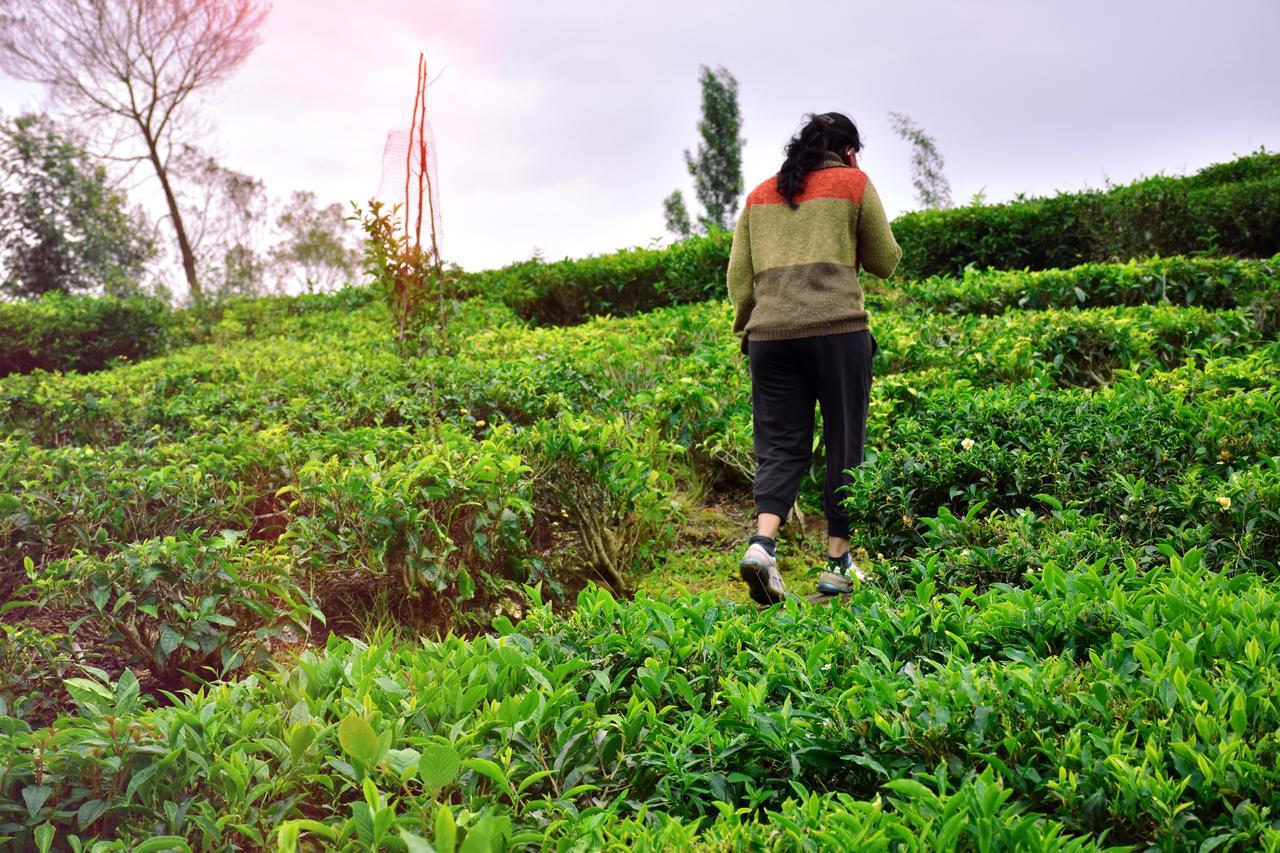 Green Nest Resort Ooty Котагири Екстериор снимка